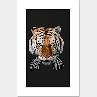 Rama the Tiger Posters and Art